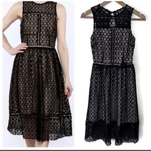 J.O.A Los Angeles Black Lace Dress with Open Back